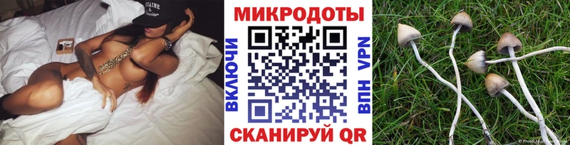 ОМГ ОМГ вход  Коркино  Галлюциногенные грибы MAGIC MUSHROOMS 